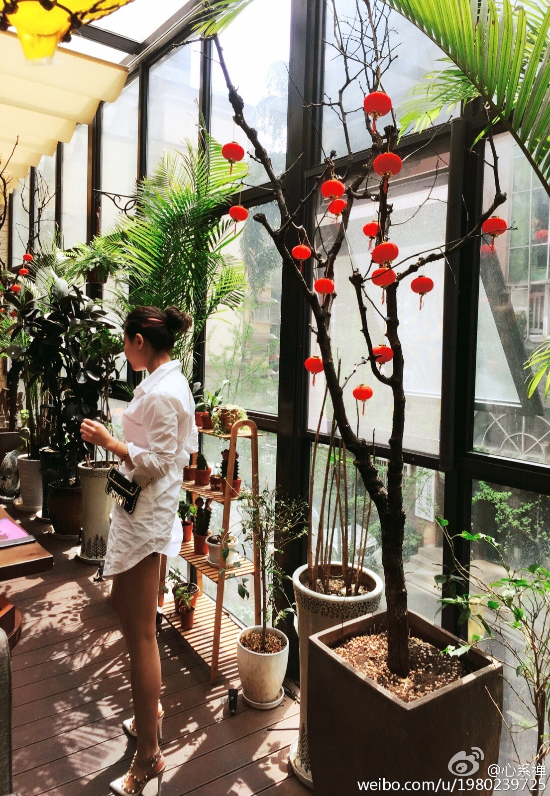 DDY第14期嫩模心系禪BB微博私照全收集